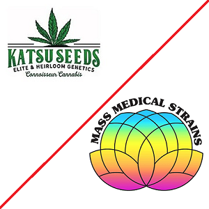 Katsu Seeds/Mass Medical Collab
