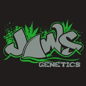 Jaws Genetics