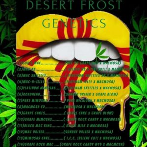 Desert Frost Genetics