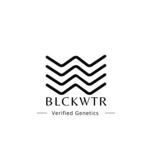 BLCKWTR Genetics