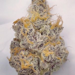 Sunken Treasure Seeds - OZ Kush Cake BX