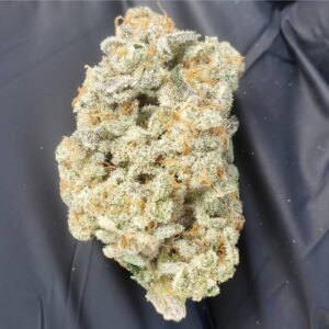 NPG Seeds - Plain Jane