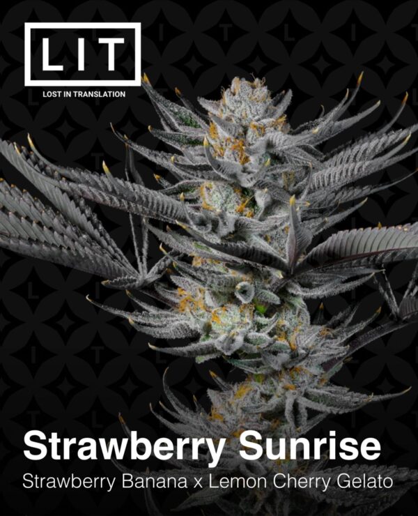 Lit Farms - Strawberry Sunrise