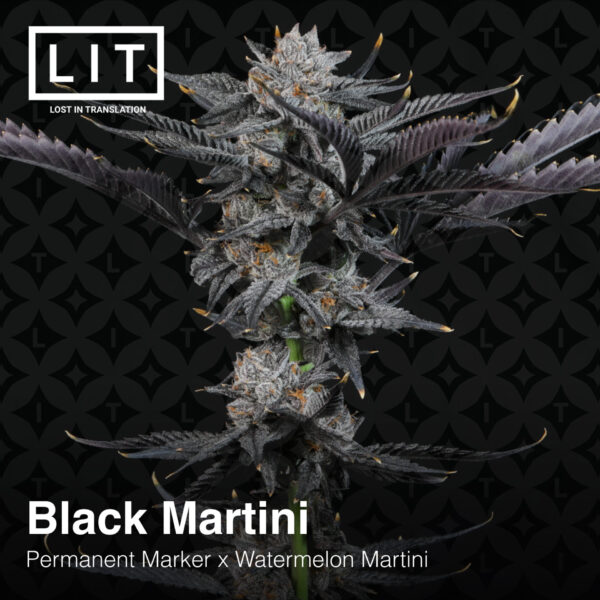 Lit Farms - Black Martini - Image 3