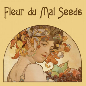 Fleur Du Mal Seeds