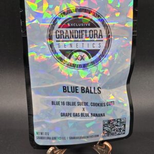 Grandiflora Genetics - Blue Balls