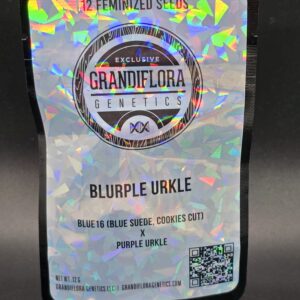 Grandiflora Genetics - Blurple Urkle