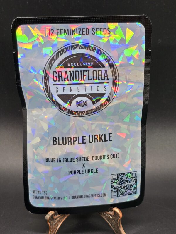 Grandiflora Genetics - Blurple Urkle