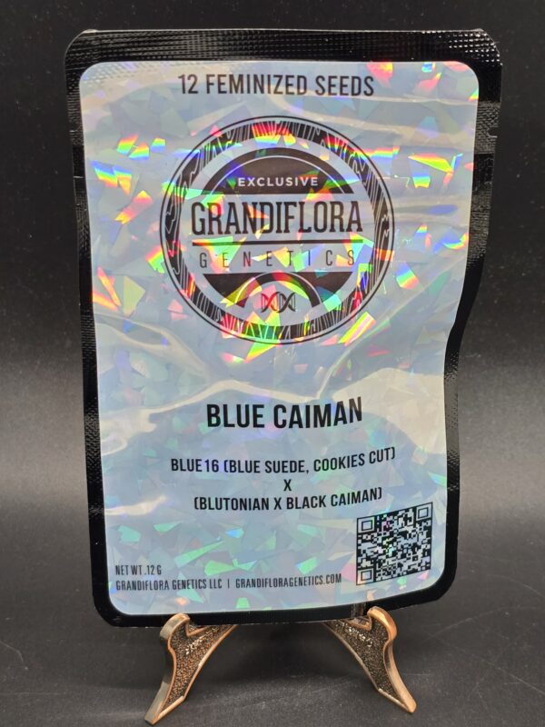 Grandiflora Genetics - Blue Caiman - Image 3