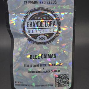 Grandiflora Genetics - Blue Caiman