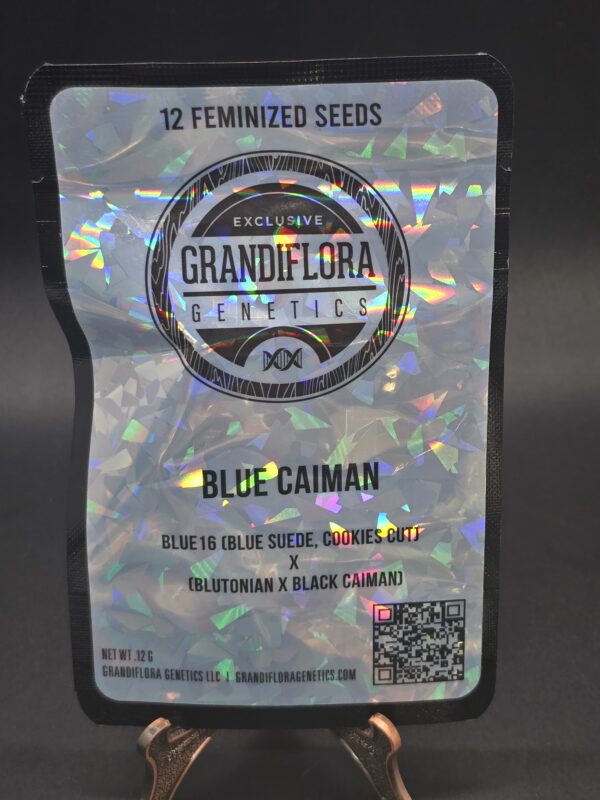 Grandiflora Genetics - Blue Caiman