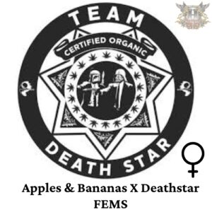 Team Death Star - Apples & Bananas X Deathstar