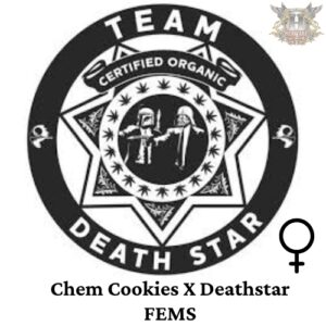 Team Death Star - Chem Cookies X Deathstar