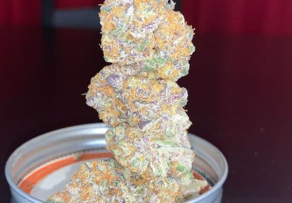 Grandiflora Genetics - Blue 16 - Image 2