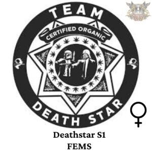 Team Death Star - Deathstar S1