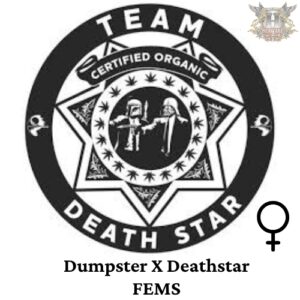Team Death Star - Dumpster X Deathstar