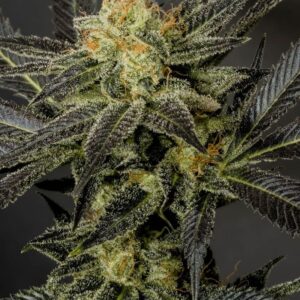 Cali Connection - LA Affie