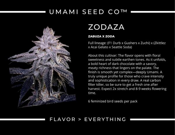 Umami Seeds - Zodaza