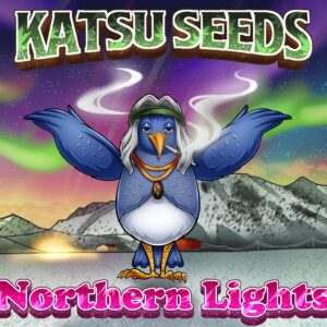 Katsu Seeds - Bubba Redux