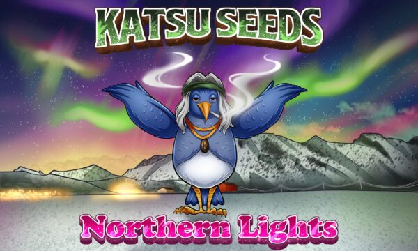 Katsu Seeds - Bubba Redux