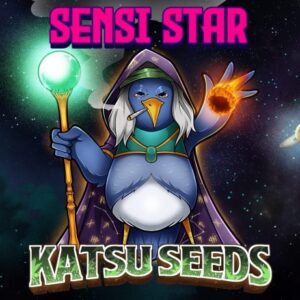 Katsu Seeds - AJ Sour Diesel X Sensi Star