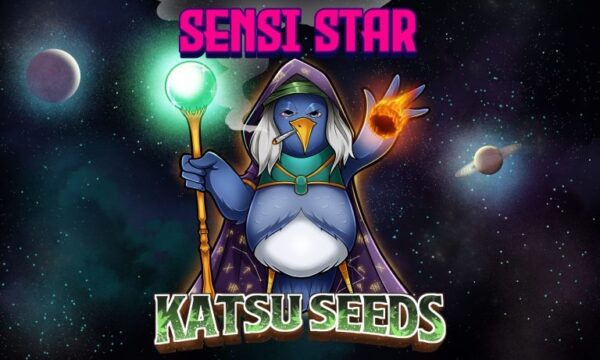 Katsu Seeds - Girl Scout Cookies X Sensi Star