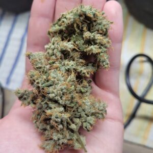 Katsu Seeds - Valyrian Diesel