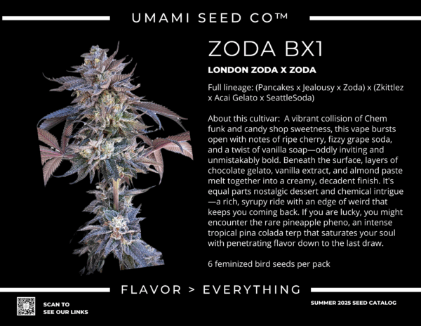 Umami Seeds - Zoda Bx1 - Image 2