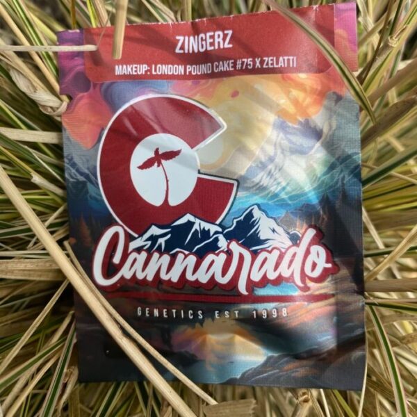 Cannarado Genetics - Zingerz - Image 2