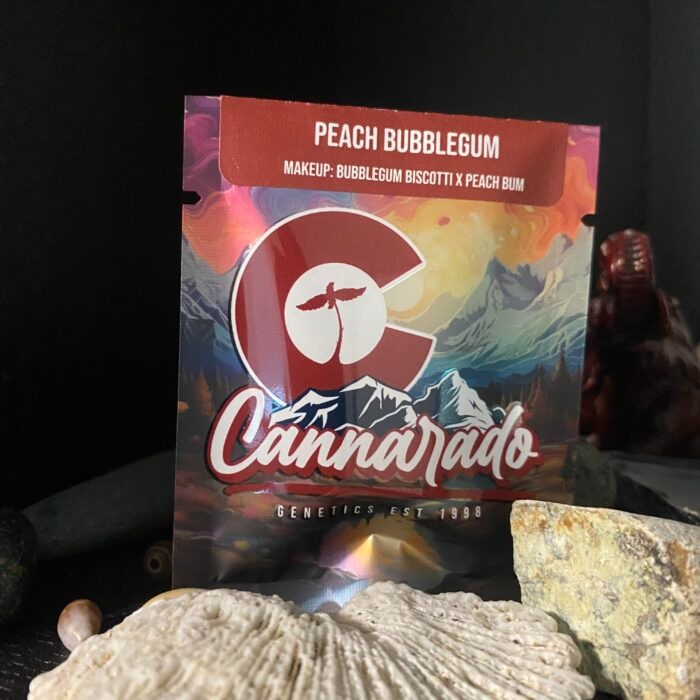 Cannarado Genetics - Peach Bubblegum
