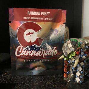 Cannarado Genetics - Rainbow Puzzy