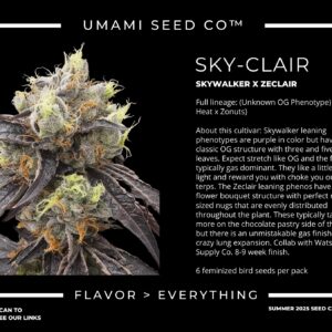 Umami Seeds - Sky-Clair