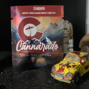 Cannarado Genetics - Zundaya