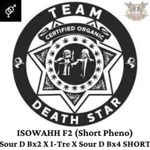 Team Death Star - I-Sowahh F2 (Short Pheno)