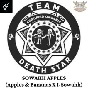 Team Death Star - Sowahh Apples