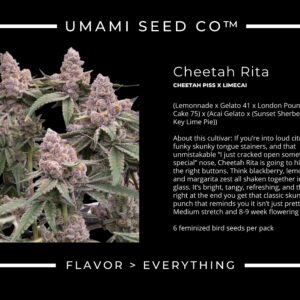 Umami Seeds - Cheetah Rita