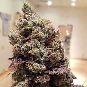 Rare Dankness - LeeRoy