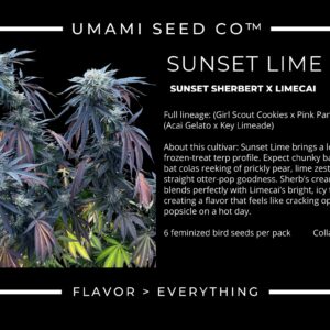 Umami Seeds - Sunset Lime