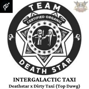 Team Death Star - Intergalactic Taxi