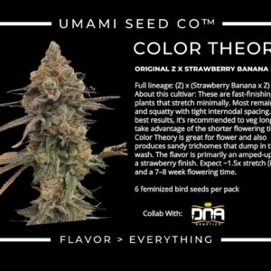 Umami Seeds - Color Theory