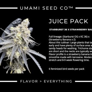 Umami Seeds - Juice Pack