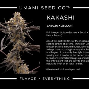 Umami Seeds - Kakashi