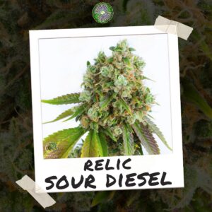 Relic Seeds - Relic Sour Diesel