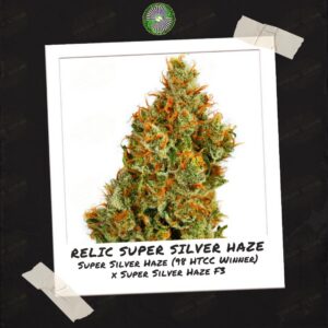 Relic Seeds - Relic Super Silver Haze