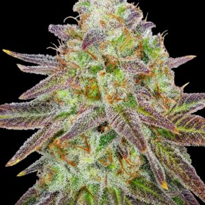 Cali Connection - Passion Berry