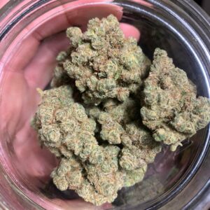 Jaws Genetics - Alien Cheese F1