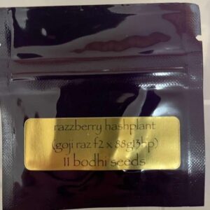 Bodhi Seeds - Razzberry Hashplant